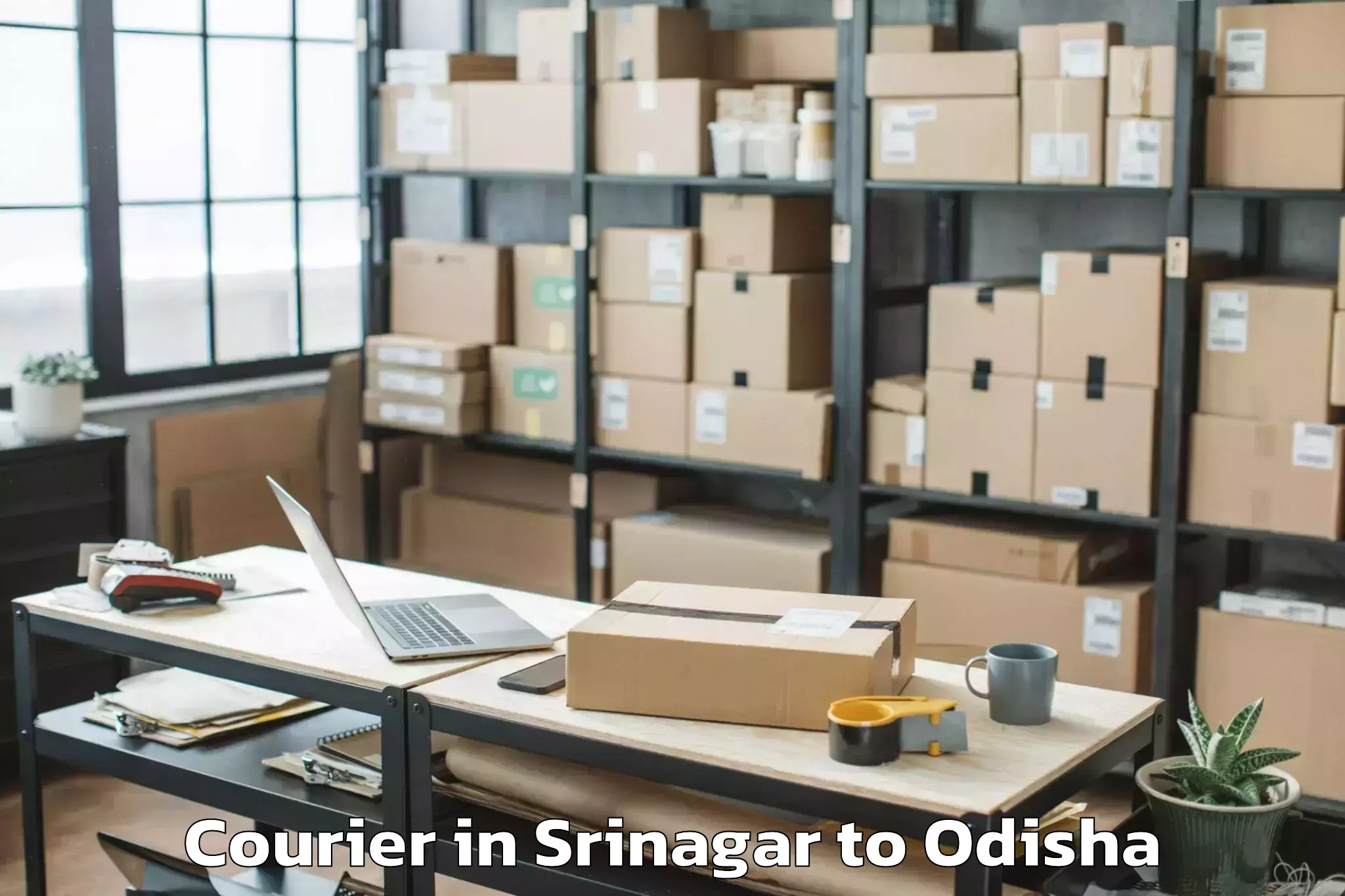 Get Srinagar to Burla Courier